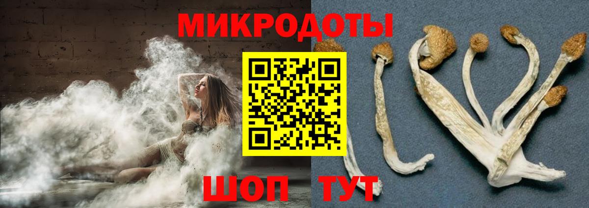 Искитим  Галлюциногенные грибы мухоморы  Вход с VPN 